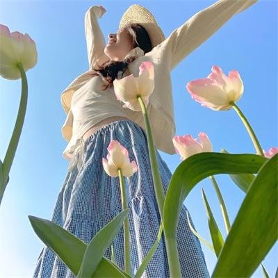 虎城煞星 在线观看